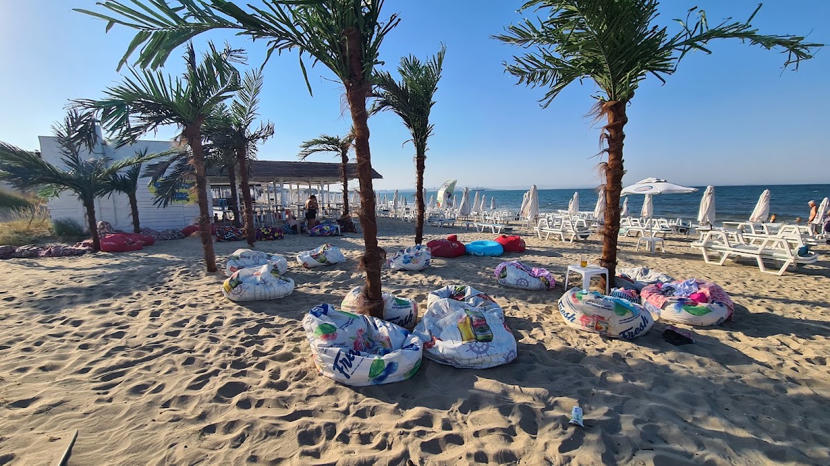 Beach Bar SUMMER VIBE