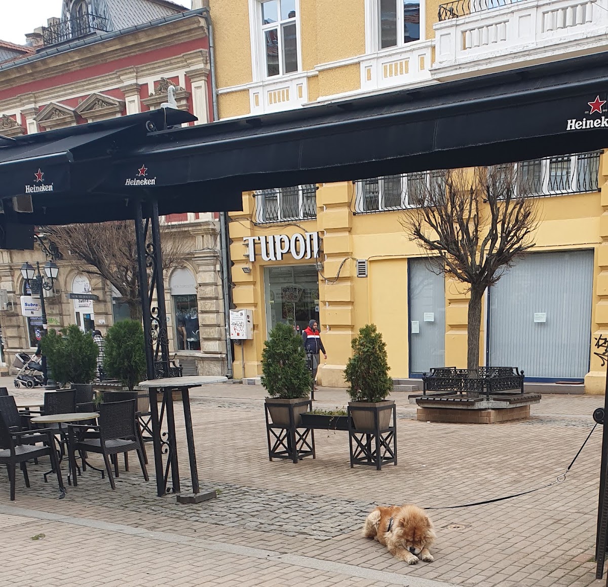 TupoЛ Fast-Food: снимка на заведението