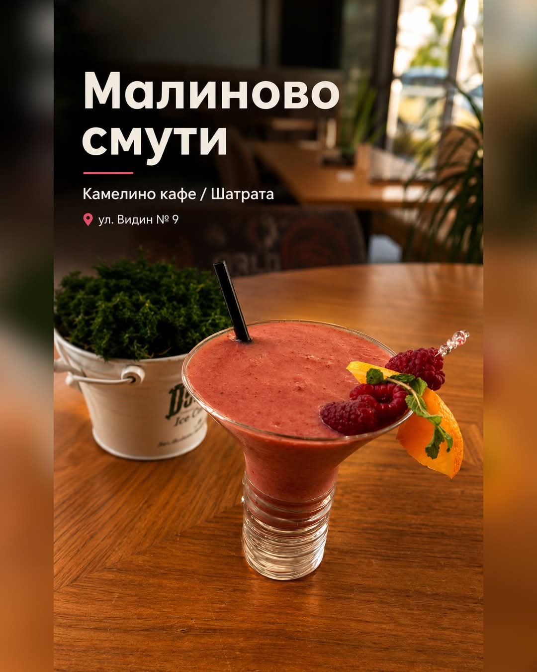 Камелино кафе / Шатрата