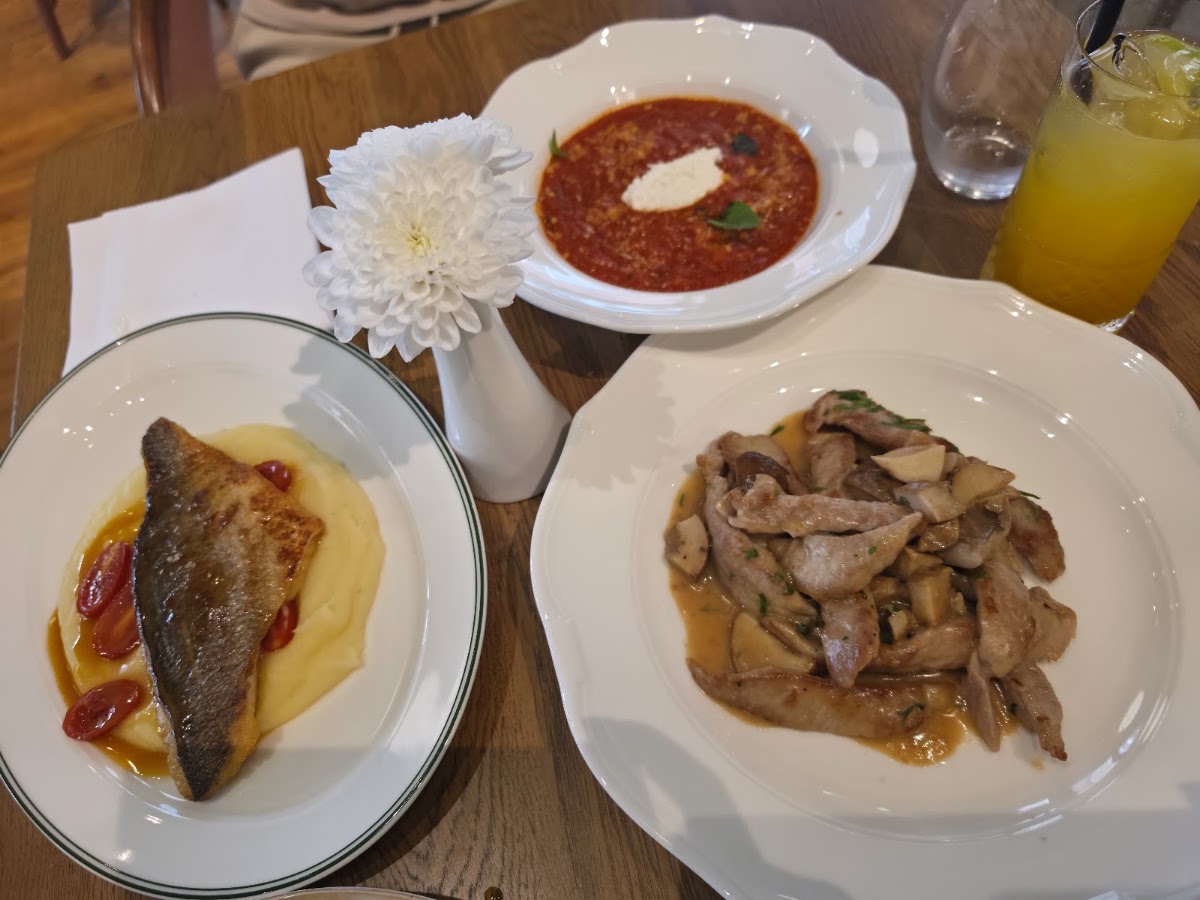Osteria Luce Sofia