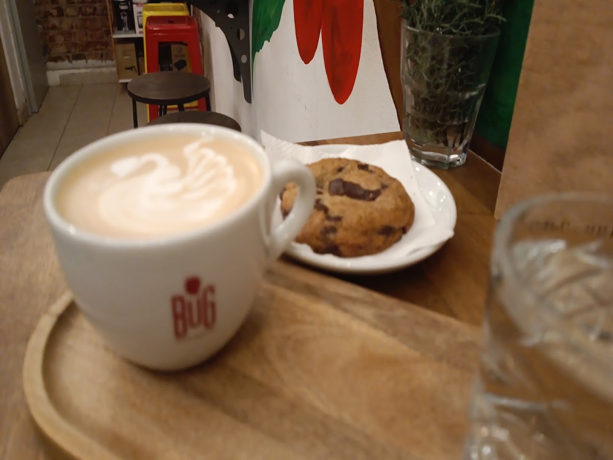 Bug Coffee