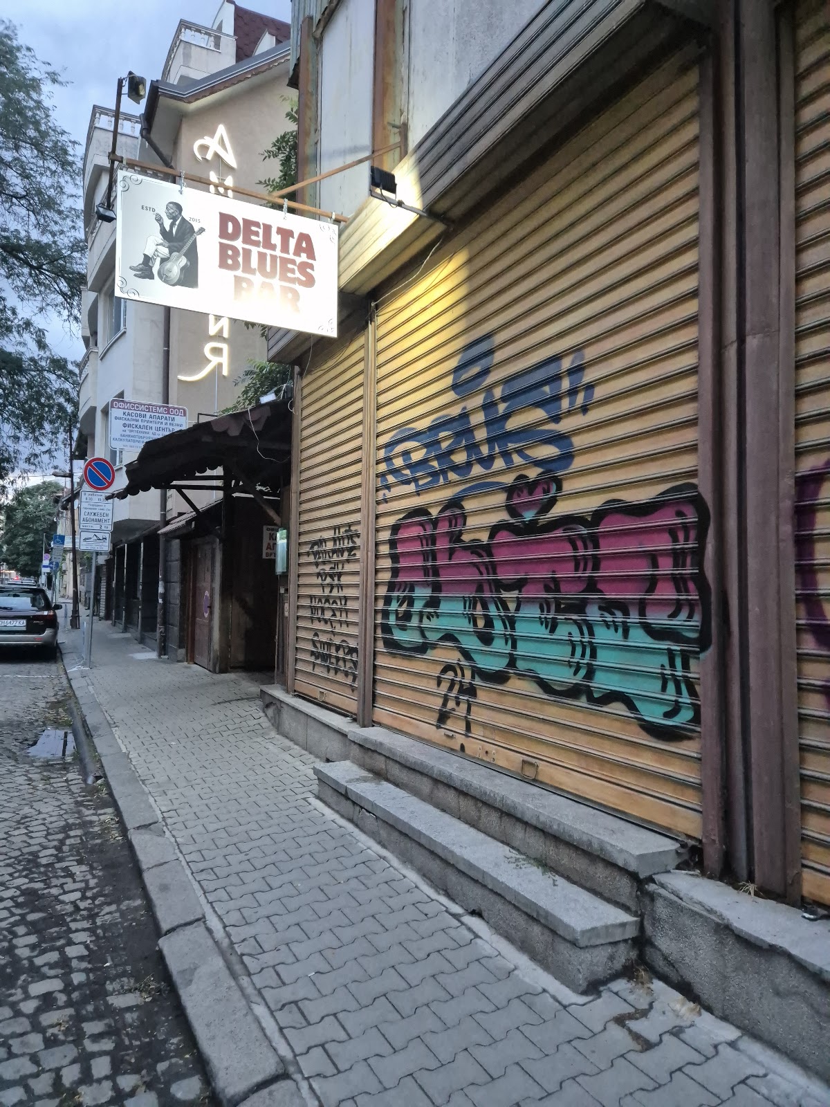DELTA BLUES BAR: снимка на заведението