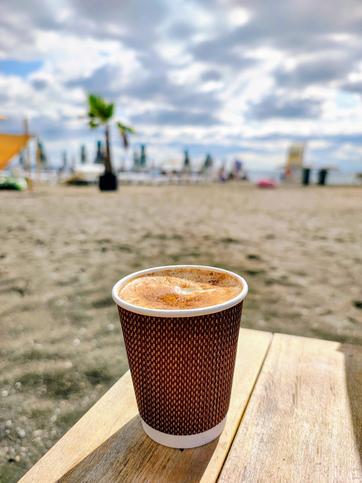 Specialty Coffee Albatros (DABOV)