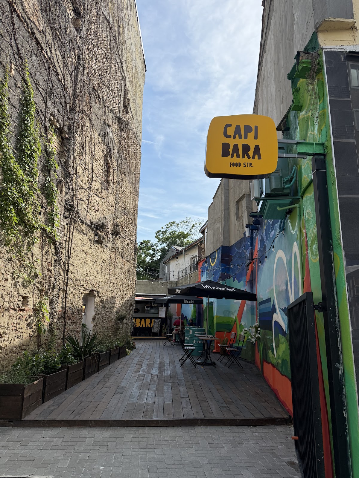 Capibara food str.