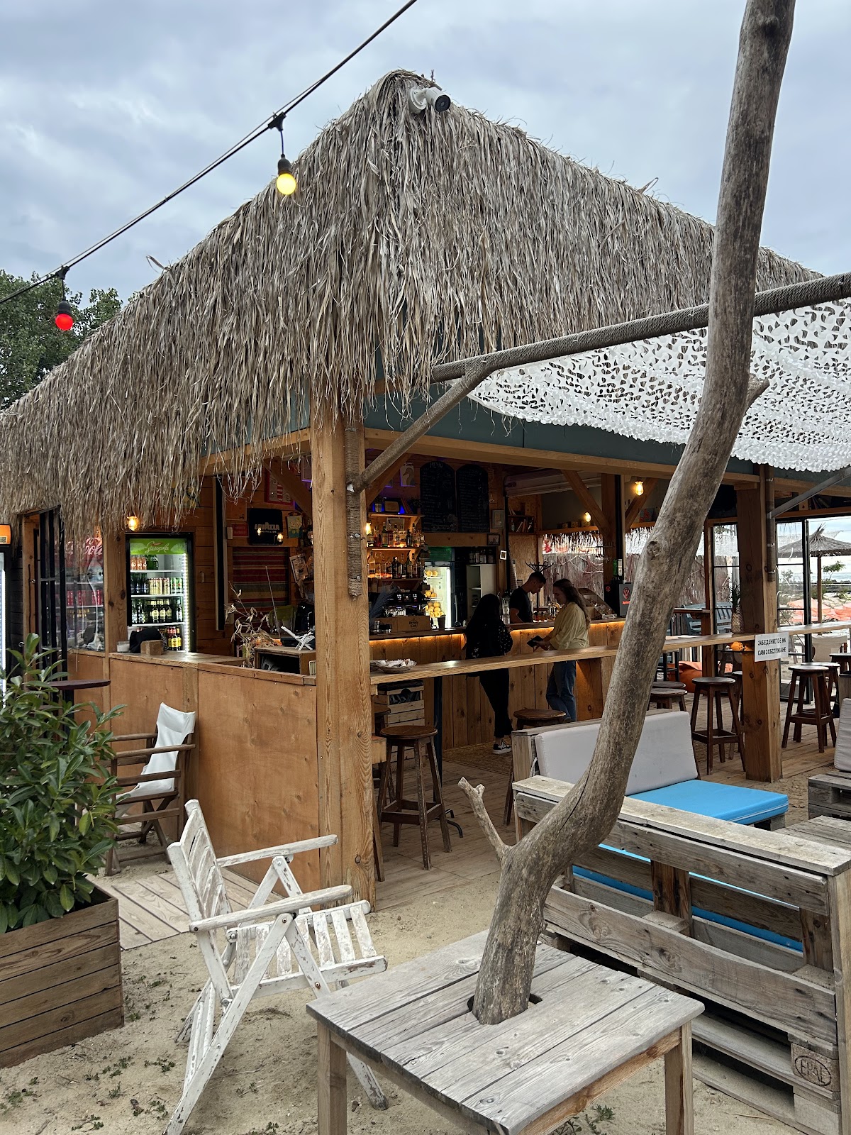 Bar Simple. beach