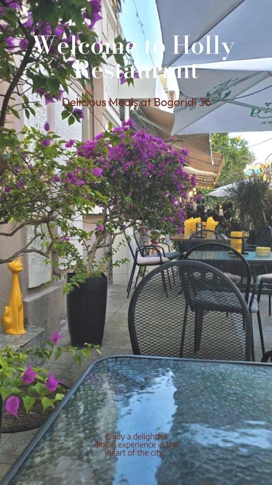 Холи / Holly's restaurant: снимка на заведението