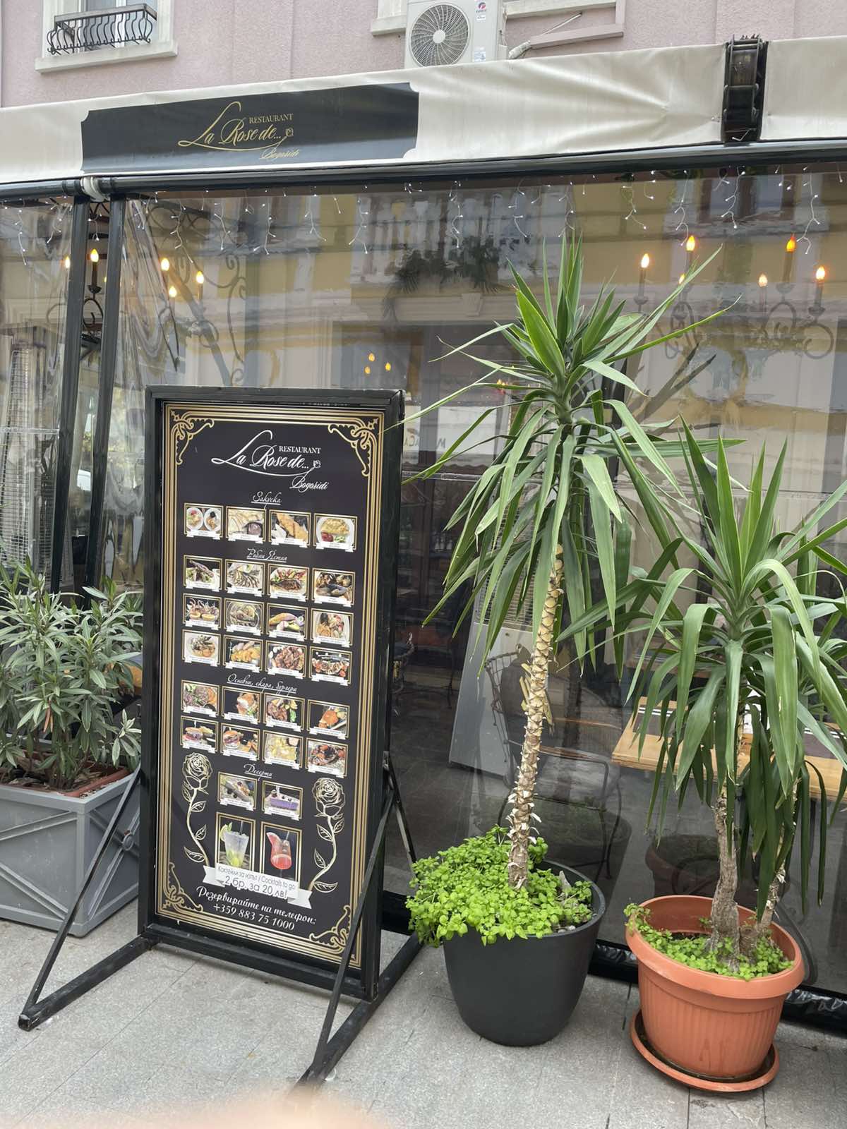 Restaurant La Rose De Bogoridi: снимка на заведението